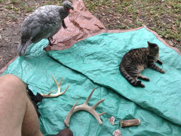 Flintknapping Tarp